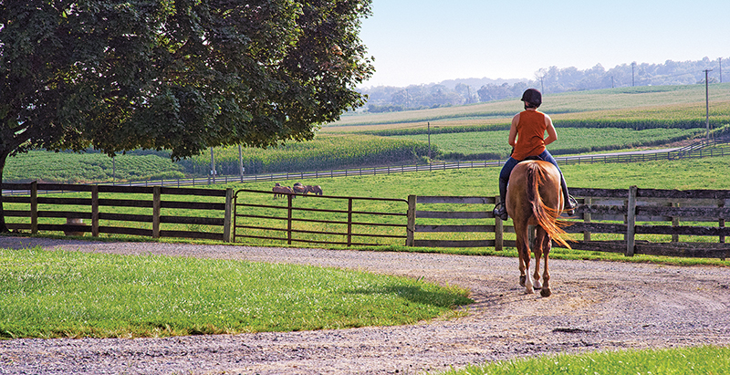 schooling horses, lindsay grice, how to practice for horse show, beginners exercises horse, side pass horse, trail obstacles horses, horsemanship, riding coach