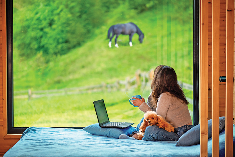 evolution of ponies, riding ponies, training ponies, children and ponies, nikki alvin smith, what to look for in a pony, my pony bites