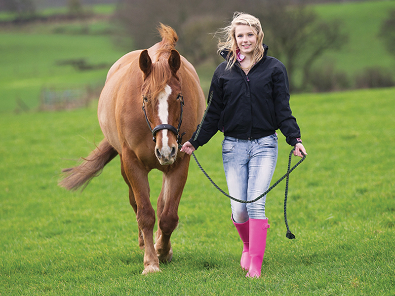 schooling horses, lindsay grice, how to practice for horse show, beginners exercises horse, side pass horse, trail obstacles horses, horsemanship, riding coach