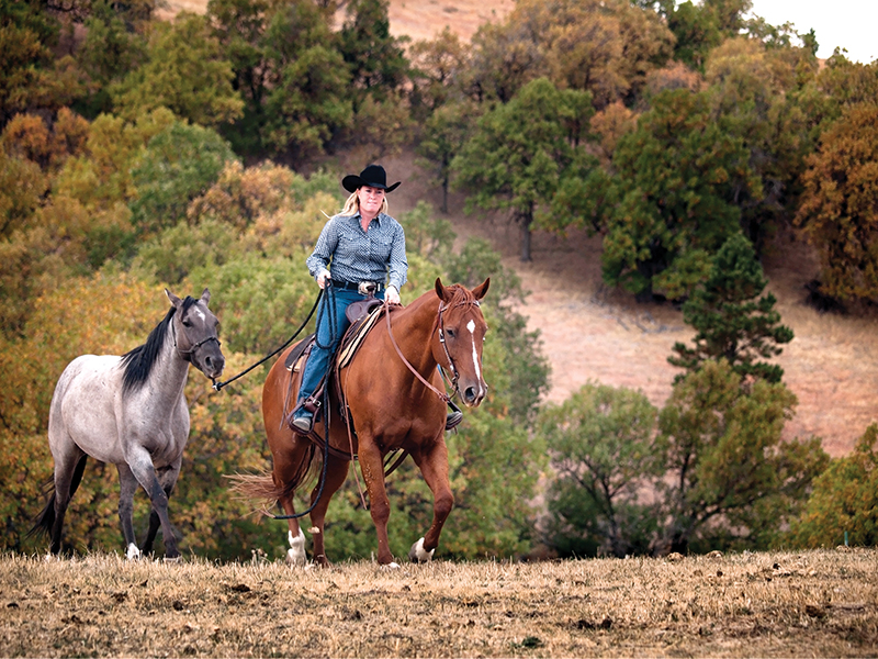 jec ballou, conditioning horse, training young horse, exercising horse, jec ballou exercises, ground pole exercises