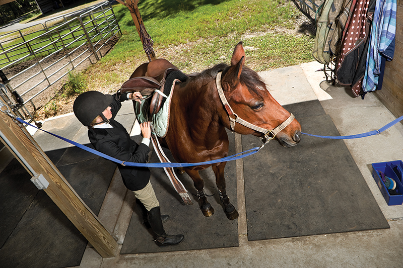 types of riding gear, types of saddles, behavioural issues horse, alexa linton, horse doesn't like tack