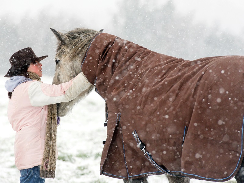 senior horse blanketing, Dental health older horse, joint pain older horse, nutrition senior horse, gut health aging horse, ppid horses, cushing's disease horses, horse laminitis, ems equine metabolic syndrome, eye health old horse, exercising senior horse, signs horse is getting old