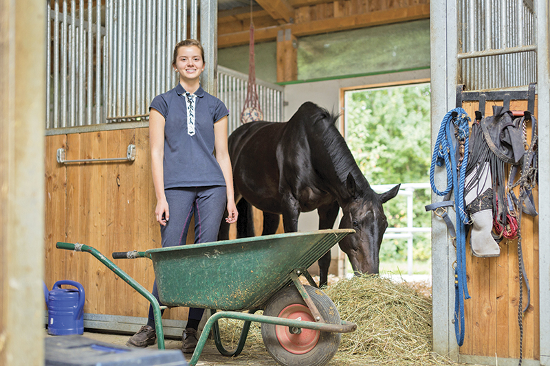 equine industry symposium 2021, covid-19 canada's horse industry, university of guelph symposium, canada's horse industry