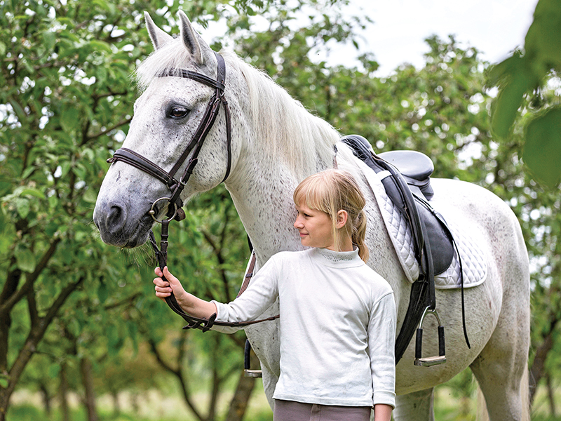 horses with jobs, working horses, school horses, therapy horses, search and rescue horses, quadrille horses, movie horses, horse temperament, equine careers