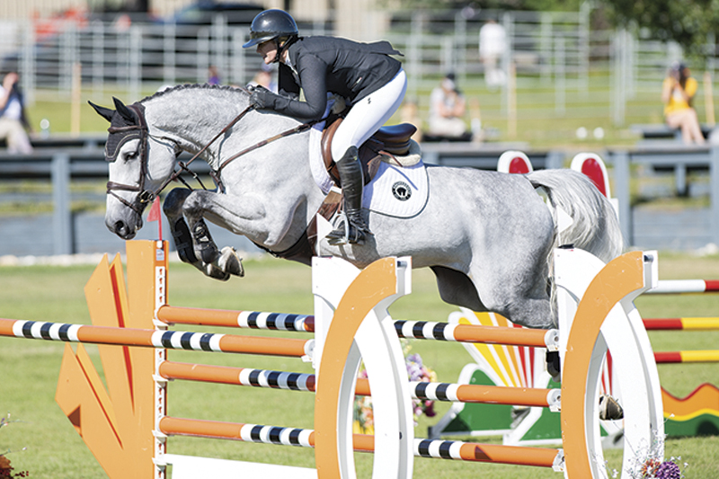 how to market horse business, marketing equestrian products, public relations for the horse industry