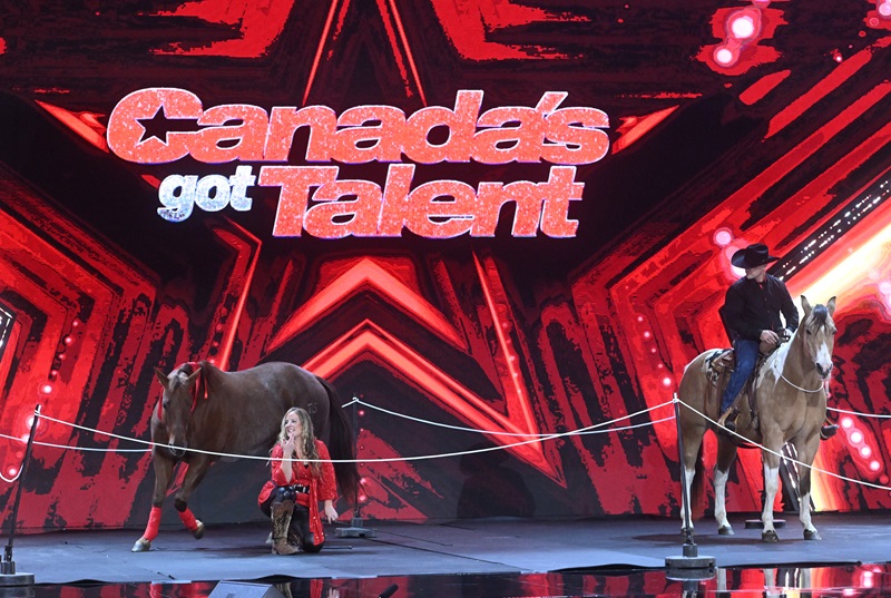 canada's got talent jason and bronwyn irwin, horses on canada's got talent, horses with jobs, working horses, school horses, therapy horses, search and rescue horses, quadrille horses, movie horses, horse temperament, equine careers