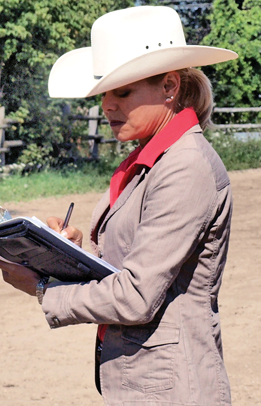 Lindsay Grice horse trainer, how to be a horse show judge, what does a horse judge do? ontario horse show judges canada
