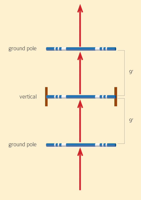 gymnastic horse jumping, adjust horse's stride, horse jumping, horse jumping exercises, brian mortan, show jumping, shorten horse's stride, lengthen horse's stride, horse impulsion, horse engagement