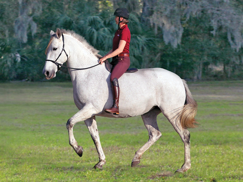 Karen Rohlf passage, Karen Rohlf riding bitless, dressage naturally karen rohlf, grand prix dressage competitor trainers, interview with Karen Rohlf, riding dressage without bit, natural horsemanship dressage