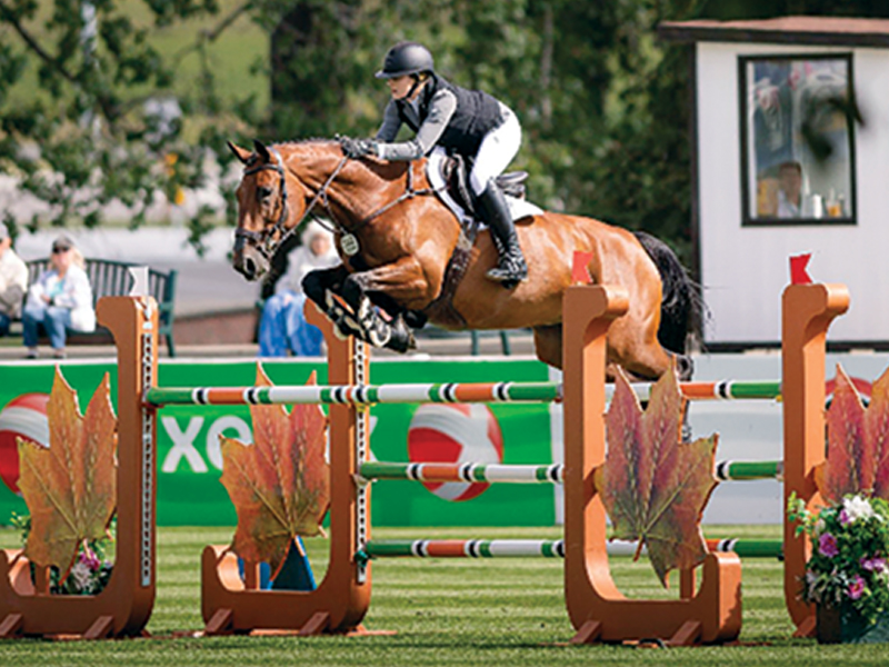 grand prix show jumper kennedy ellingson, coeur de riccerold horse, riding older horses