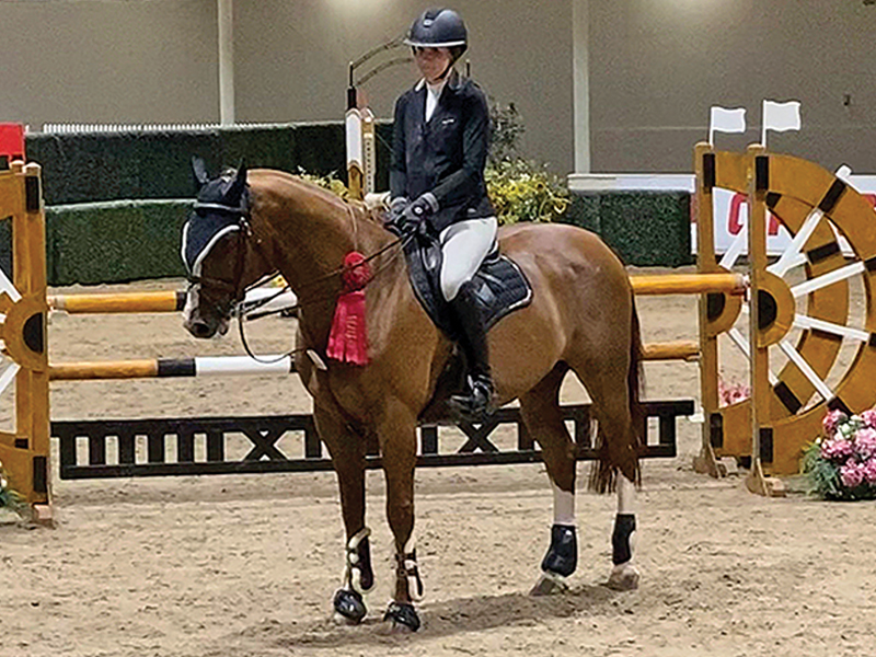 grand prix show jumper kennedy ellingson, coeur de riccerold horse, riding older horses
