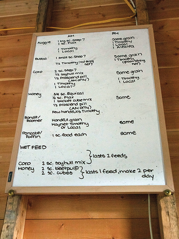 running a horse barn, hiring horse people, keeping an equestrian facility, managing horse boarders, taking care of horses, nikki alvin smith