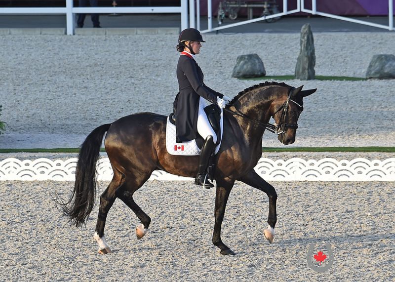 canadian olympic dressage team, tokyo dressage, horse events olympics, equestrian olympic competitions, brittany fraser-beaulieu, lindsay kellock, chris von martels