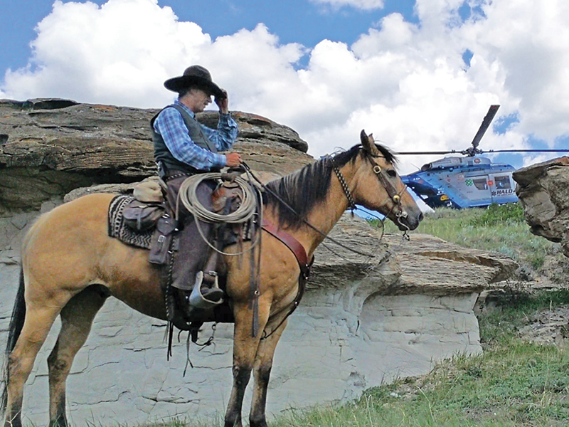 out there first aid, emergencies with horses, riding accidents, trail riding safety, horse riding safely, horse riding first aid