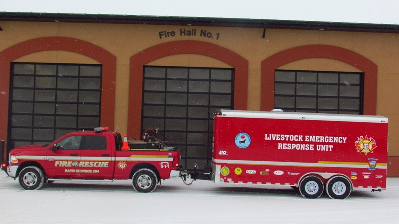 EFC charity Canada, equine welfare Canada, horse charity Canada history, veterinary scholarships horses Canada, equine education funding, Canadian horse industry support, equine nonprofit Canada