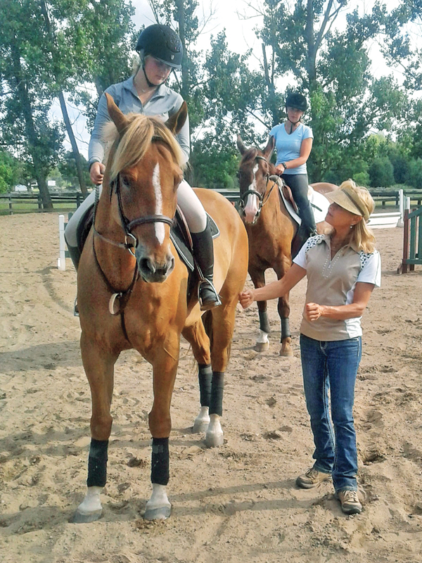 horse training options, riding with a trainer, do it yourself horse training, equestrian coaching advice, amateur rider development, horse riding lessons, equestrian training models, choosing a horse trainer, independent riding, riding without a coach