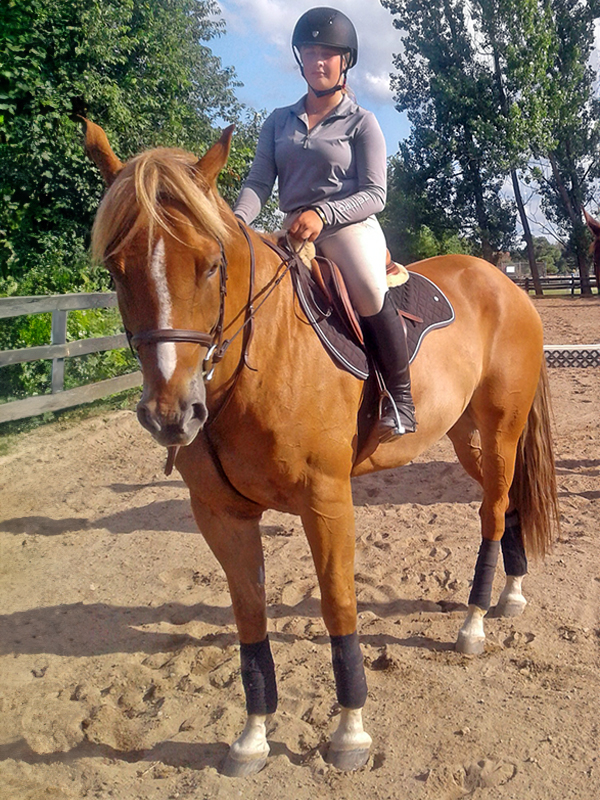 teaching a horse self-carriage, horse bulging on circle, horse not responding to rein aids, horse riding a circle, proper alignment horse circles, lindsay grice horse training
