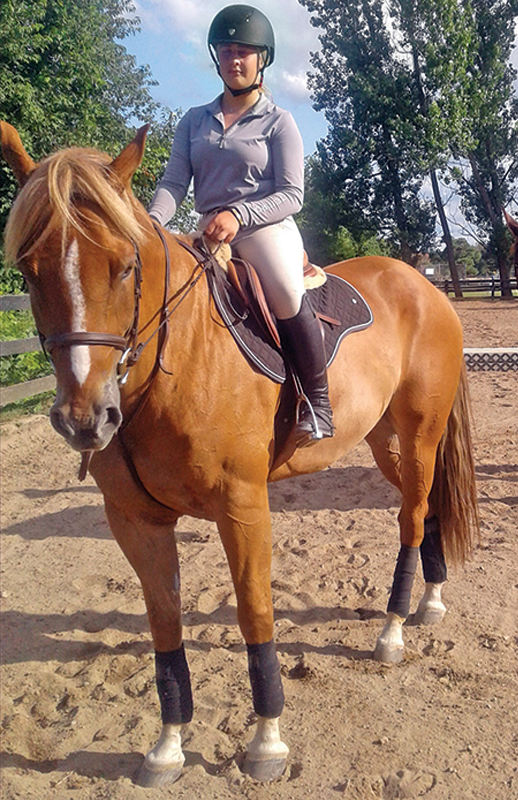 schooling horses, lindsay grice, canadian equestrian coaches, horse learning styles, how do horses learn? types of horse training, horse riding lesson plan, communicating with horses