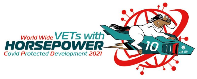 Vets with Horsepower 2021, ethelberth youth and chilcare centre south africa, horses in need, horse welfare