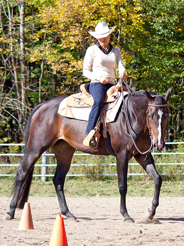 proper horse riding position, proper head position horse riding, equitation standards, lindsay grice