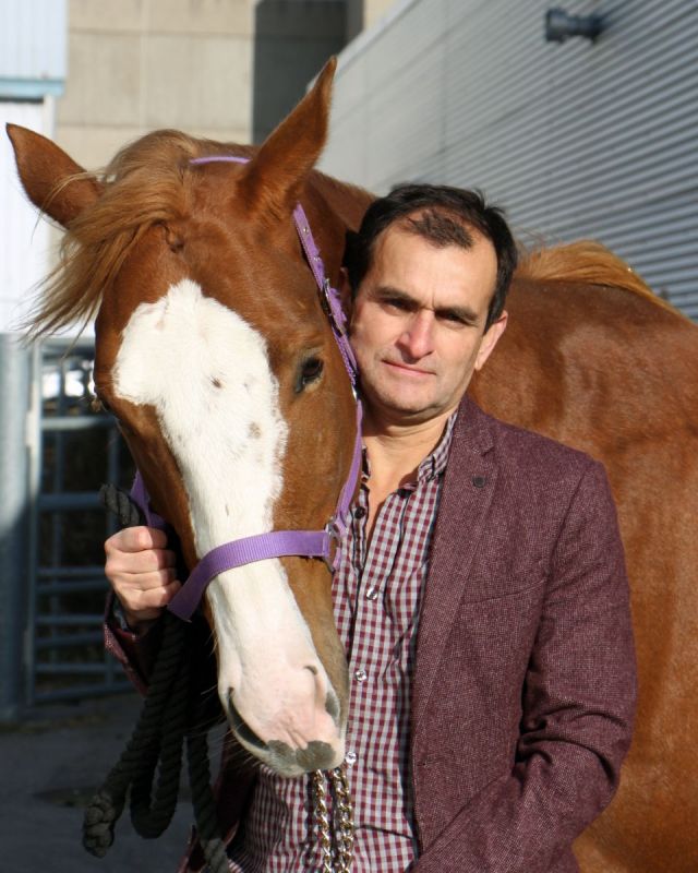 equine gastrointestinal disease, university of guelph, equine robo-gut equine guelph