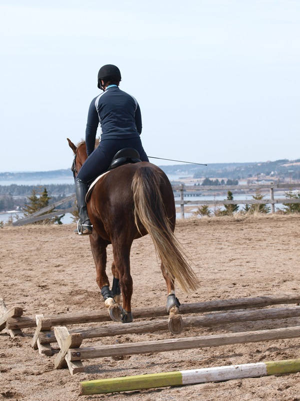 jumping over ground poles in two-point
