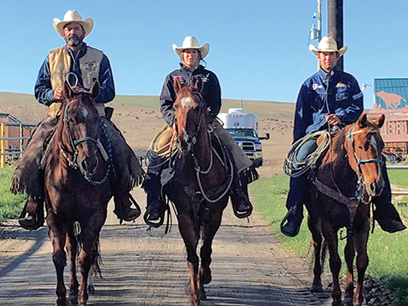family farms, how to run a family farm, horse farms, how to manage farm and family life, canadian farms, horse farms canada, managing farm and children, tania millen
