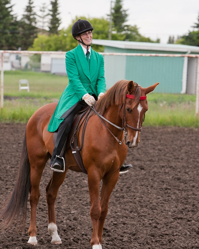 american saddlebred breed profile, versatile horses, american-bred horses