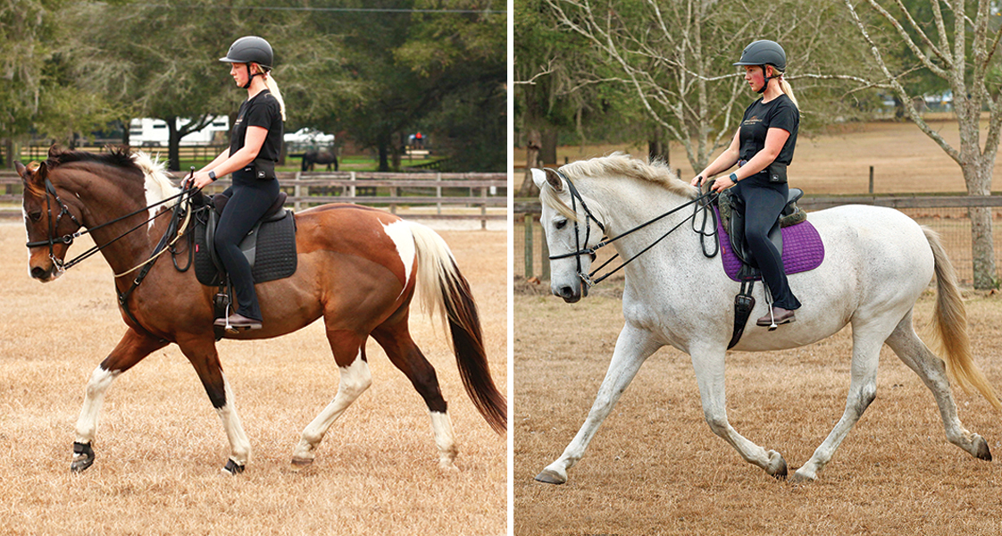 tania millen, shannon lee dueck, amanda self, nrha contact rules, dressage FEI contact rules, Federation Equestre Internationale, megan lane caravella, steffen peters