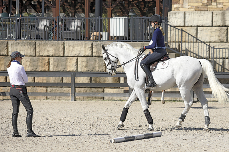 how to market horse business, marketing equestrian products, public relations for the horse industry