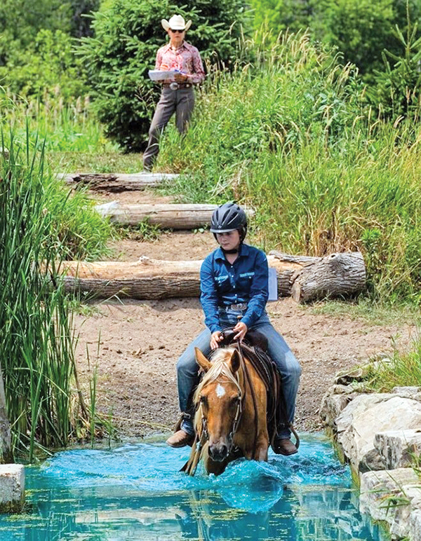 Lindsay Grice horse trainer, how to be a horse show judge, what does a horse judge do? ontario horse show judges canada