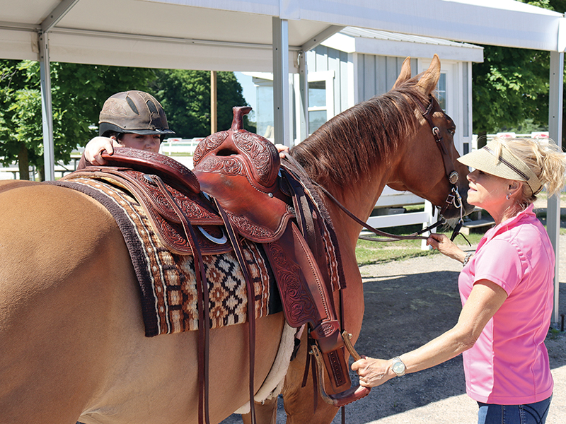 horse training options, riding with a trainer, do it yourself horse training, equestrian coaching advice, amateur rider development, horse riding lessons, equestrian training models, choosing a horse trainer, independent riding, riding without a coach