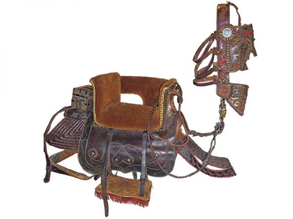 how to ride sidesaddle, sidesaddle makers, sidesaddle clubs, sidesaddle associations, western sidesaddles, english sidesaddles, patricia hardy sidesaddle, robert jenkins malvern saddle, susan bellinger sidesaddle