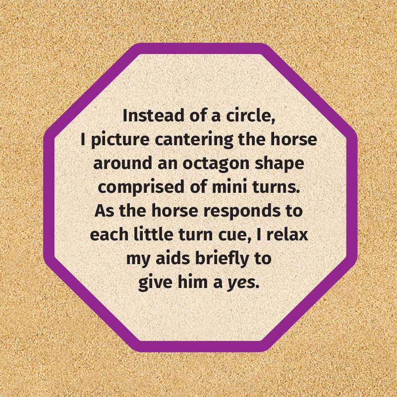counter canter horse, cantering your horse, how to canter horse, how to prepare show ring, correcting horse's lead, how to keep my horse straight, lindsay grice