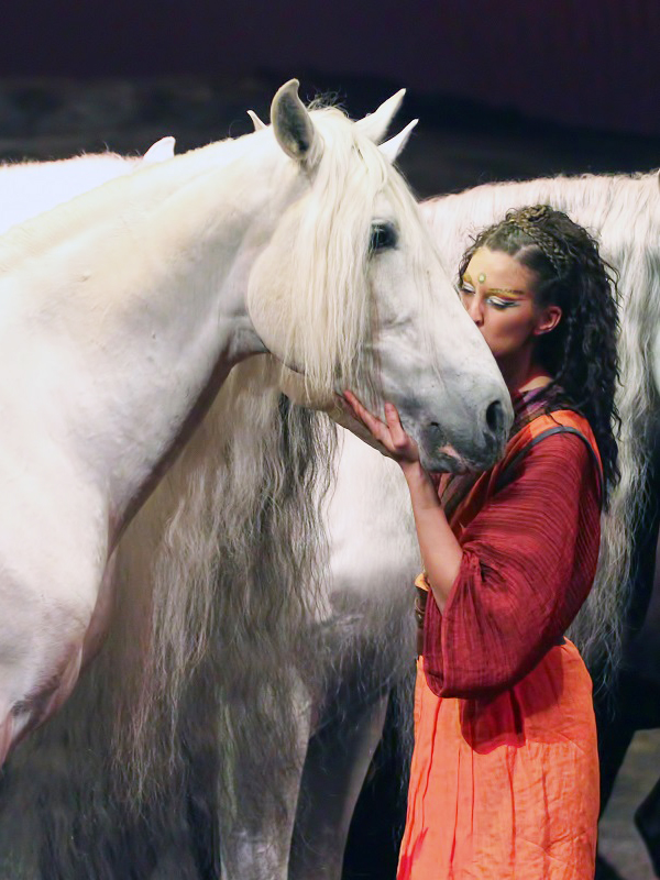 Normand Latourelle Cavalia, Cavalia declares bankruptcy