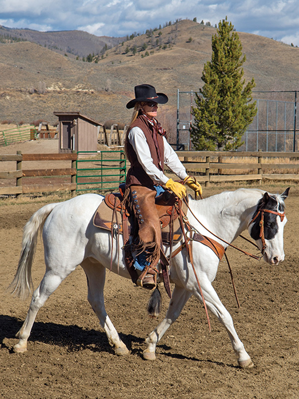 boarding schools for horses, choosing horse trainer, how to train horse, alexa linton, horse psychology, therapy horses