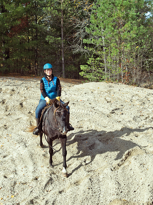 how to use hills to train horse, horse hill training, jec ballou, horse fitness, exercises for horses, best workouts for horse