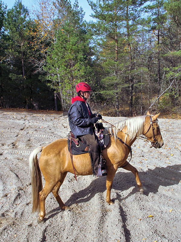 how to use hills to train horse, horse hill training, jec ballou, horse fitness, exercises for horses, best workouts for horse