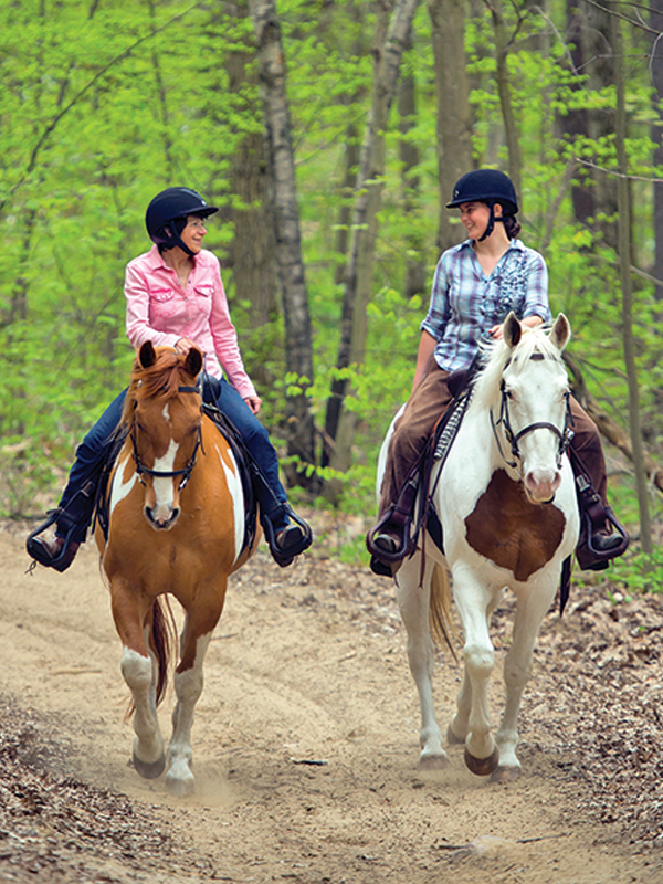 schooling horses, lindsay grice, canadian equestrian coaches, horse learning styles, how do horses learn? types of horse training, horse riding lesson plan, communicating with horses