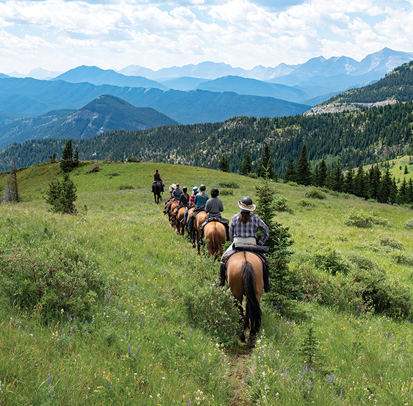 anchor d guiding & outfitting, riding holidays, horse riding holidays canada, rocky mountain horse rides
