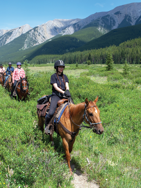 anchor d guiding & outfitting, riding holidays, horse riding holidays canada, rocky mountain horse rides
