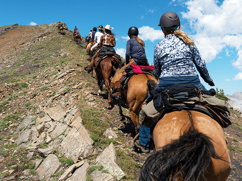 anchor d guiding & outfitting, riding holidays, horse riding holidays canada, rocky mountain horse rides