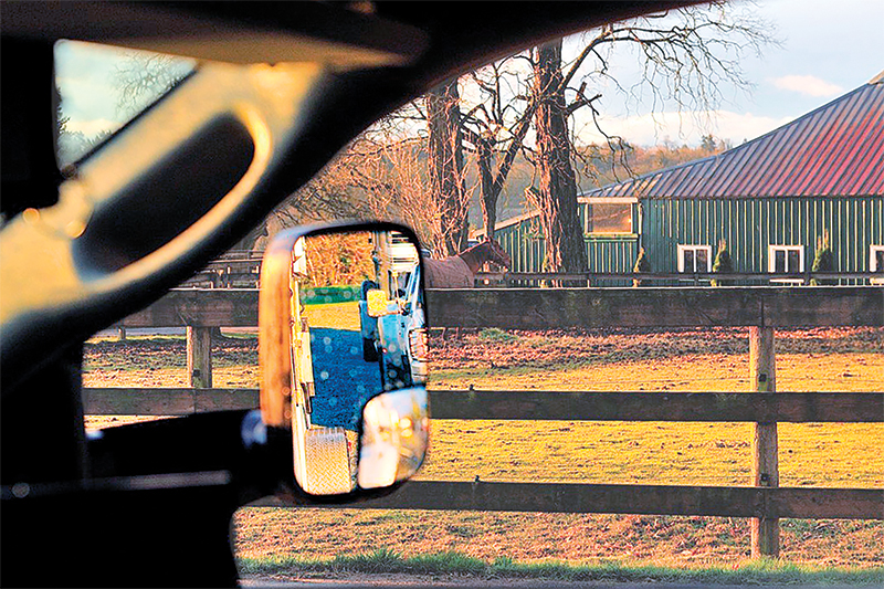 how to safely haul a horse, horse hauling, kevan garecki, safely transporting horses, horse transport anxiety