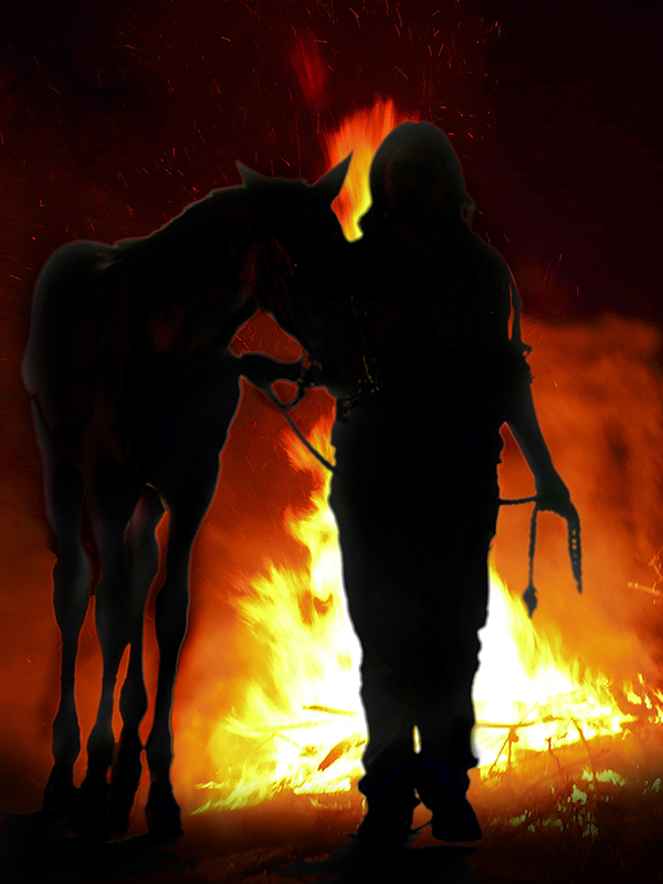 blindfolding horses, equine guelph studies, fire drills horses, evacuatign horse barns, leading a horse blindfolded, horse welfare