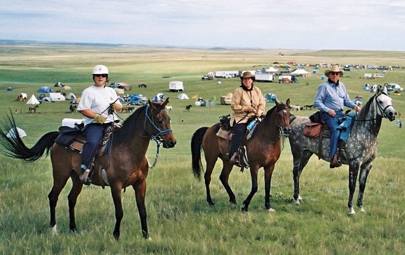 David Gwilym Reed, equine veterinarian Canada, in memoriam equestrian, horseman legacy, veterinary medicine horses, Arabian horses Canada, equine community tribute, British Columbia horse history