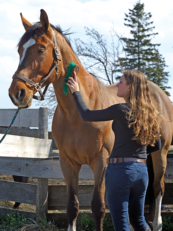 annika mcgivern equestrian psychology, anxiety horse show, emotions horse show, how do i calm down at horse show, equestrian psychology