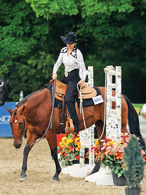 equestrian sport psychology, horse rider psychology, annika mcgivern, better horse riding skills, equestrian psychologist, counselling for horse people