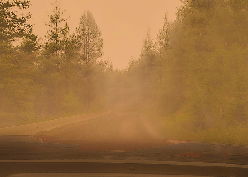 equine emergency preparedness, horses stuck flooding, preventing barn fire, emergency services horses, help for horses disaster, kevan garecki, bc flooding horses