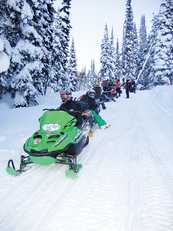 bell and sundance horses, horse rescue in bc, pack horses abandoned bc, horse christmas stories, mount renshaw horse rescue, horses trapped rocky mountains, birgit stutz horse rescue, falling star ranch bc, frank mackay horse abandonment