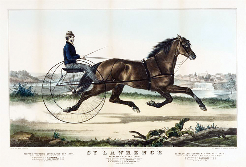 st. lawrence at rochester 1850 currier and ives print, Roxanne Salinas Bear Hollow Farm Canadian Horse, Ken Morris CHHAPS, Canadian Horse Heritage and Preservation Society, Canada's National Horse, Swallowfield Farm Ladysmith, Danadream Farm Quebec, Canadian Horse Breed Pedigree Book, First Farms Canadians